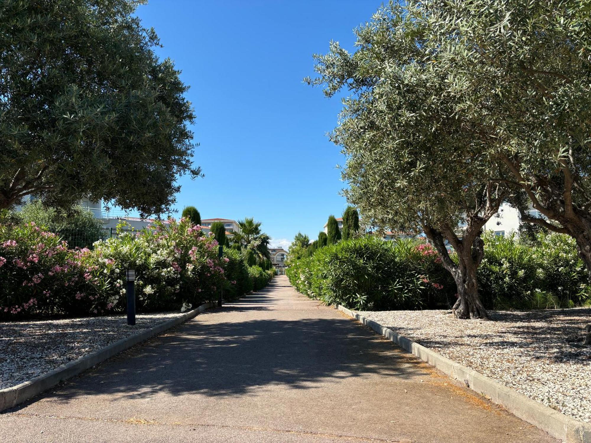 Beachside Apartment With Pool & Garden In Juan Les Pins Antibes Eksteriør billede